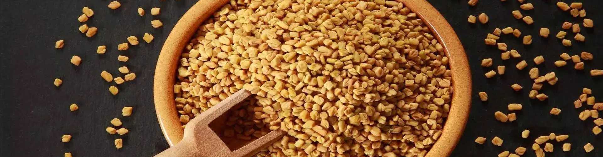 مستخلص الحلبة