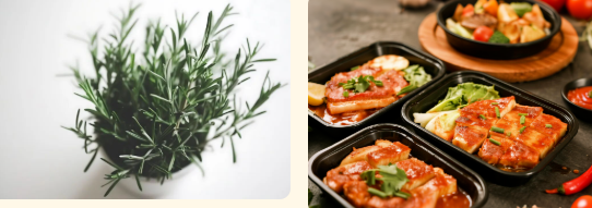 rosemary_extract_for_food.png rosemary_extract_for_food.png